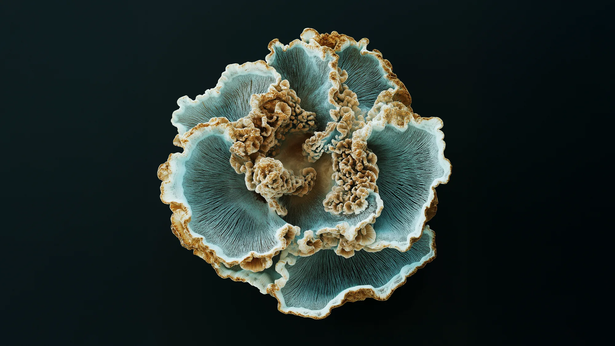 Healing Symbiosis_07